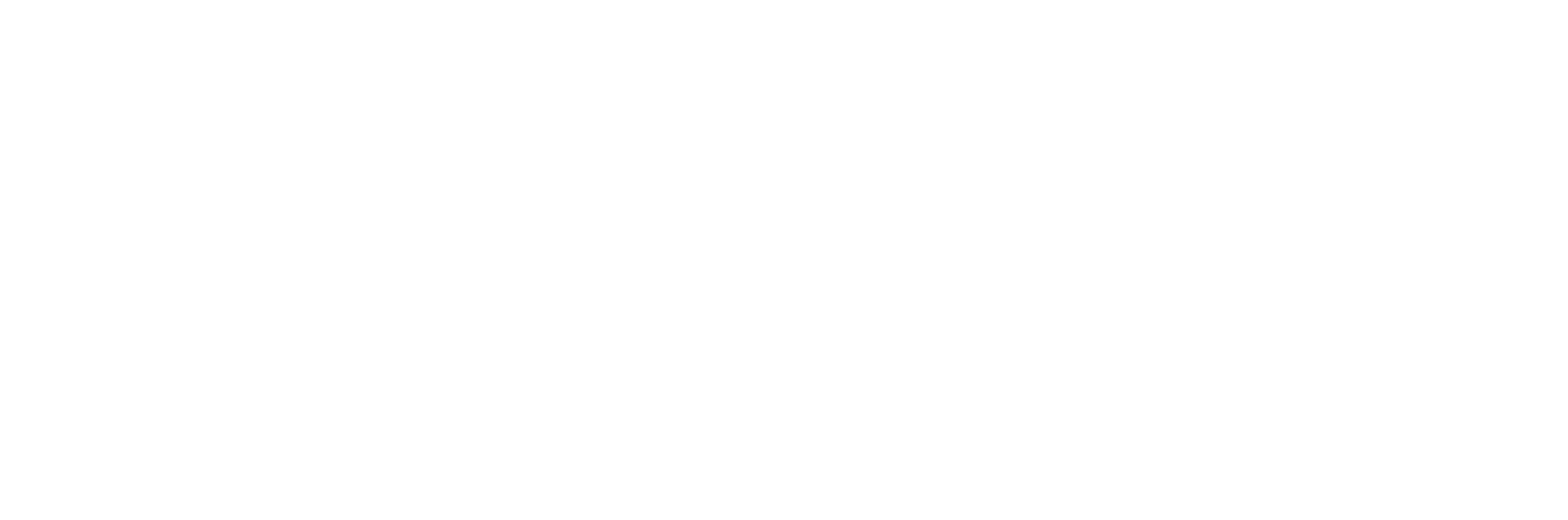 RVT